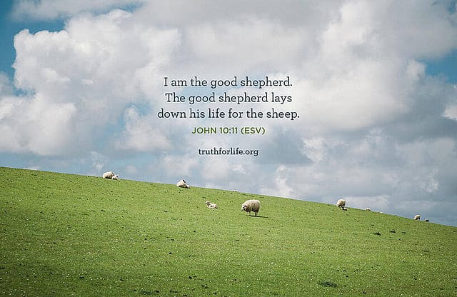 The Good Shepherd: Wallpaper