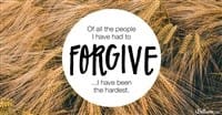 A Prayer to Forgive Yourself – Your Daily Prayer – April 3, 2018