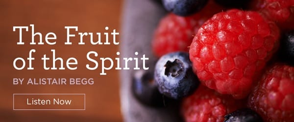 This is a thumbnail for the post The Root of Our Holiness: Introducing the Fruit of the Spirit (Part 1 of 9)