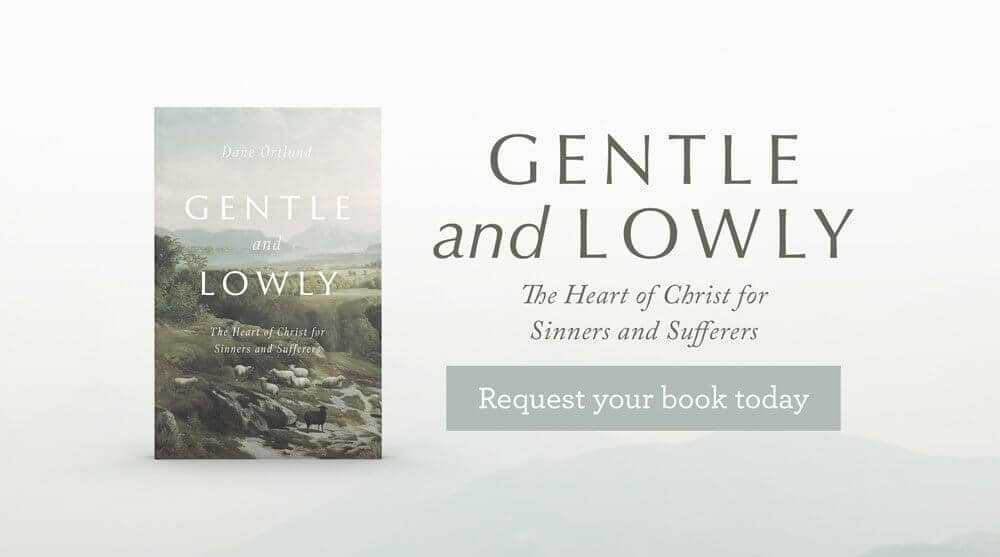 This is a thumbnail for the post Does Jesus Ever Grow Weary of Our Failures? Read ‘Gentle and Lowly’