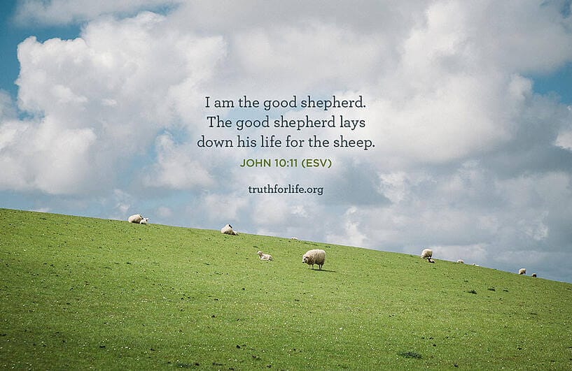 This is a thumbnail for the post The Good Shepherd: Wallpaper